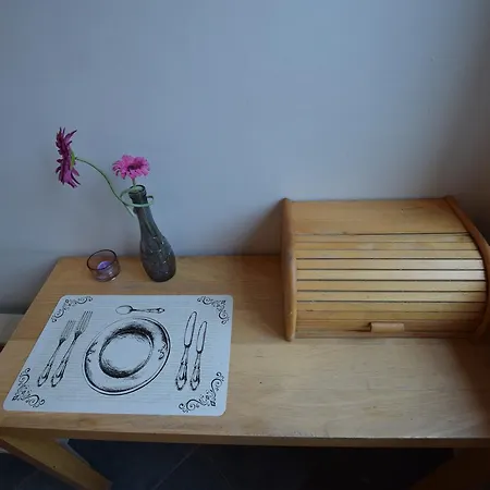 Elegant Promenade 公寓 华沙